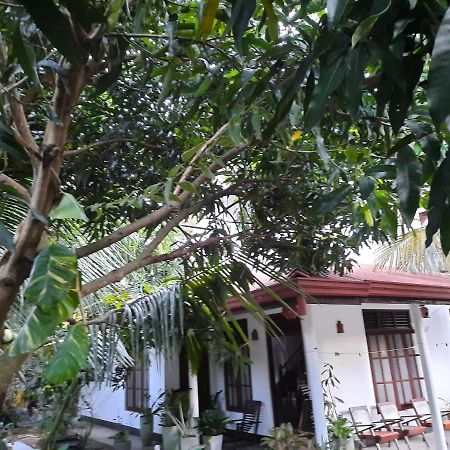 Eagle Homestay Tangalle Exterior foto