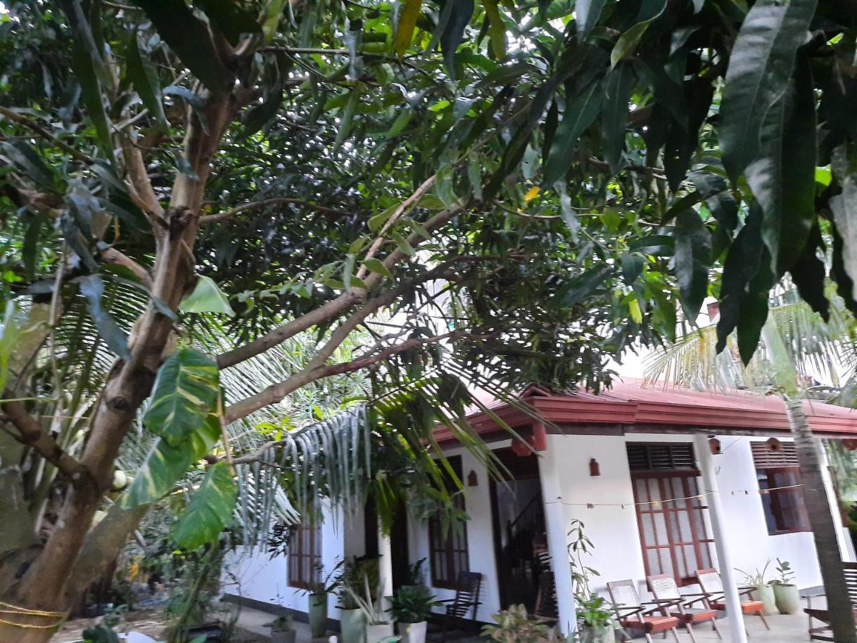 Eagle Homestay Tangalle Exterior foto