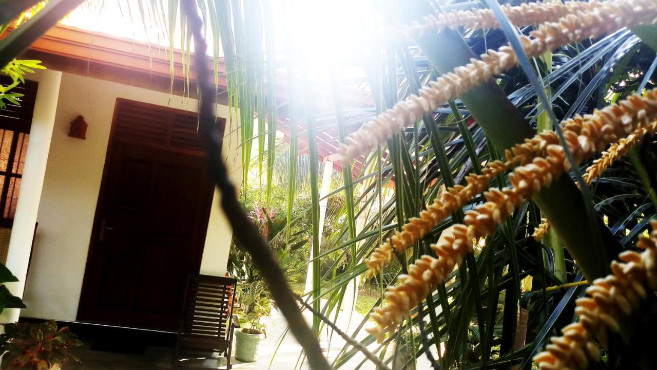 Eagle Homestay Tangalle Exterior foto